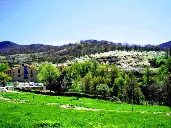 Albergue Aurora Boreal Casas del Monte Dış mekan fotoğraf